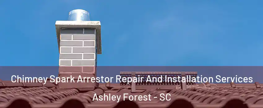 Chimney Spark Arrestor Repair And Installation Services Ashley Forest - SC