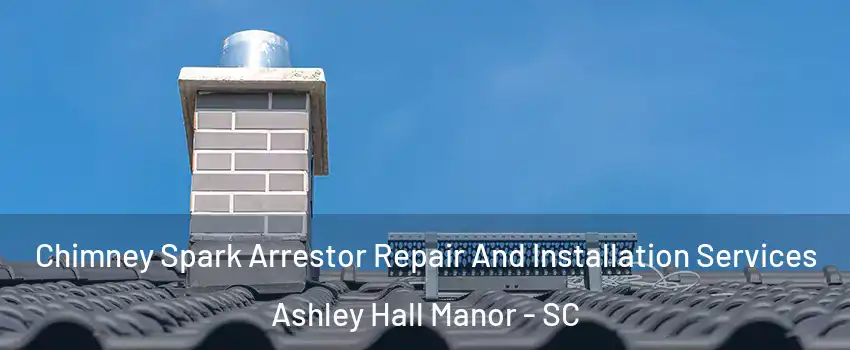 Chimney Spark Arrestor Repair And Installation Services Ashley Hall Manor - SC