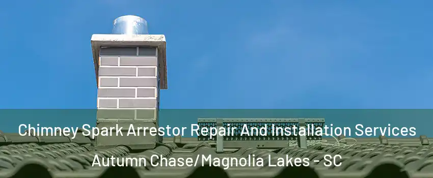 Chimney Spark Arrestor Repair And Installation Services Autumn Chase/Magnolia Lakes - SC