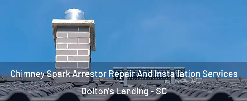 Chimney Spark Arrestor Repair And Installation Services Bolton's Landing - SC