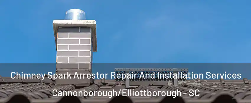 Chimney Spark Arrestor Repair And Installation Services Cannonborough/Elliottborough - SC