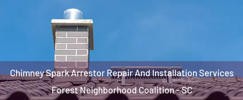 Chimney Spark Arrestor Repair And Installation Services Forest Neighborhood Coalition - SC