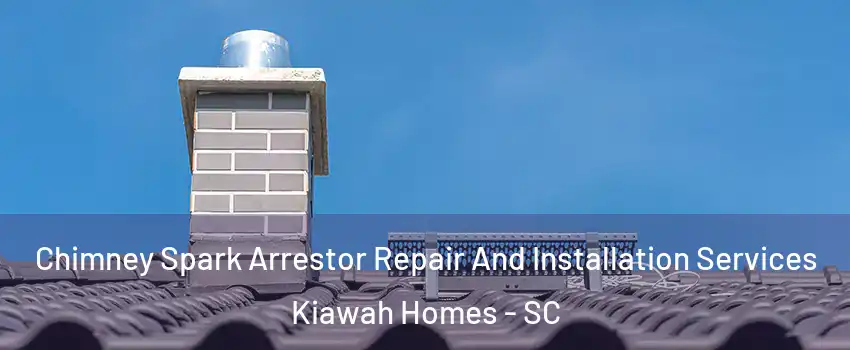 Chimney Spark Arrestor Repair And Installation Services Kiawah Homes - SC