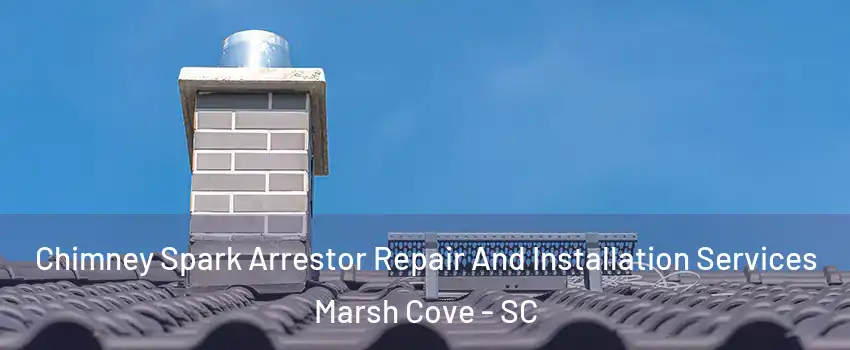 Chimney Spark Arrestor Repair And Installation Services Marsh Cove - SC