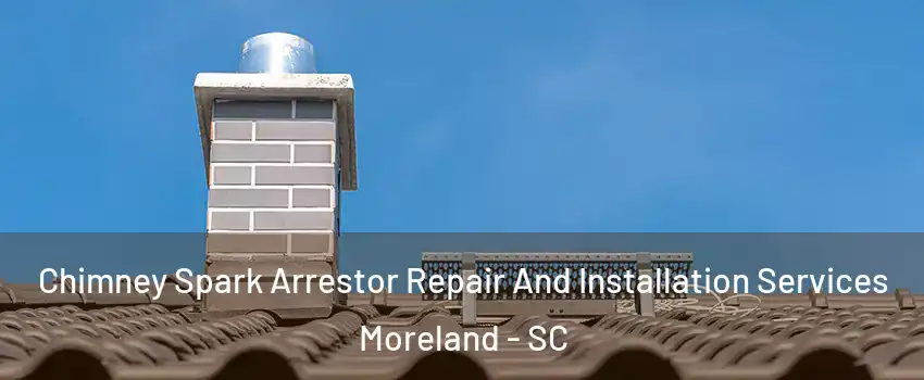 Chimney Spark Arrestor Repair And Installation Services Moreland - SC