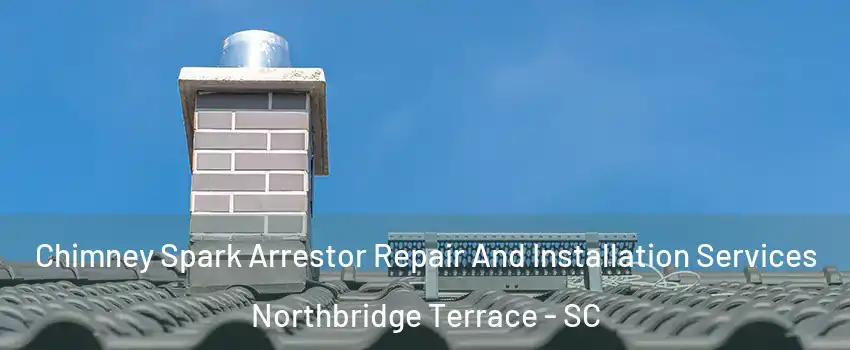 Chimney Spark Arrestor Repair And Installation Services Northbridge Terrace - SC