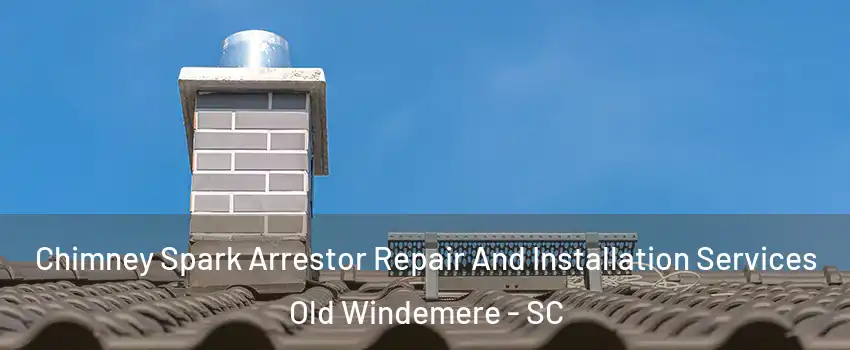 Chimney Spark Arrestor Repair And Installation Services Old Windemere - SC