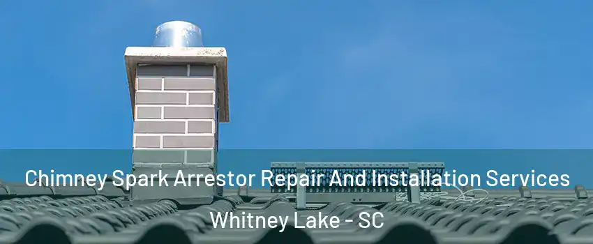 Chimney Spark Arrestor Repair And Installation Services Whitney Lake - SC