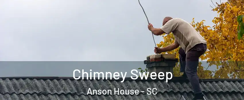 Chimney Sweep Anson House - SC