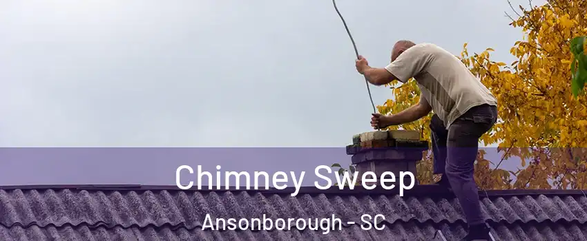 Chimney Sweep Ansonborough - SC