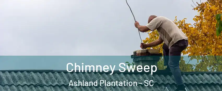 Chimney Sweep Ashland Plantation - SC