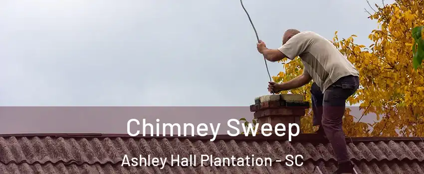 Chimney Sweep Ashley Hall Plantation - SC