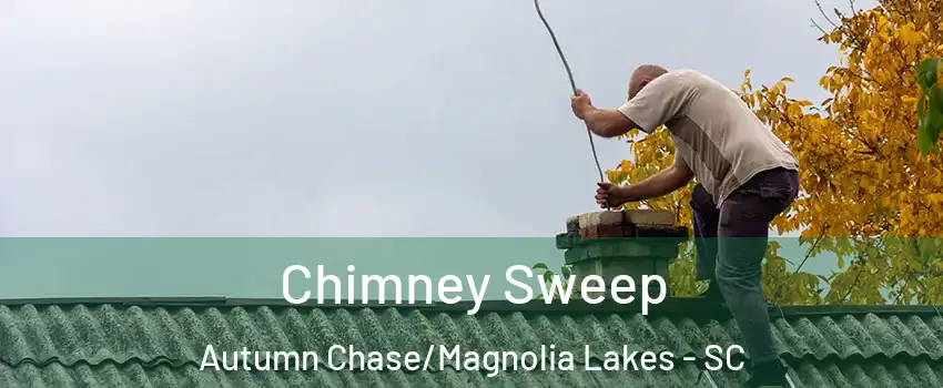 Chimney Sweep Autumn Chase/Magnolia Lakes - SC