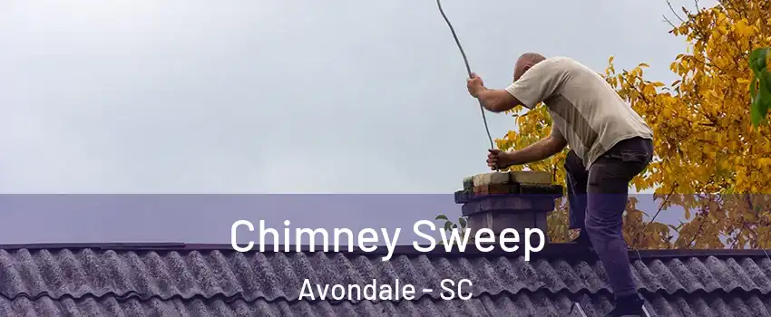 Chimney Sweep Avondale - SC