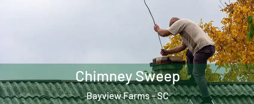 Chimney Sweep Bayview Farms - SC