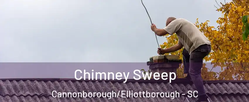 Chimney Sweep Cannonborough/Elliottborough - SC