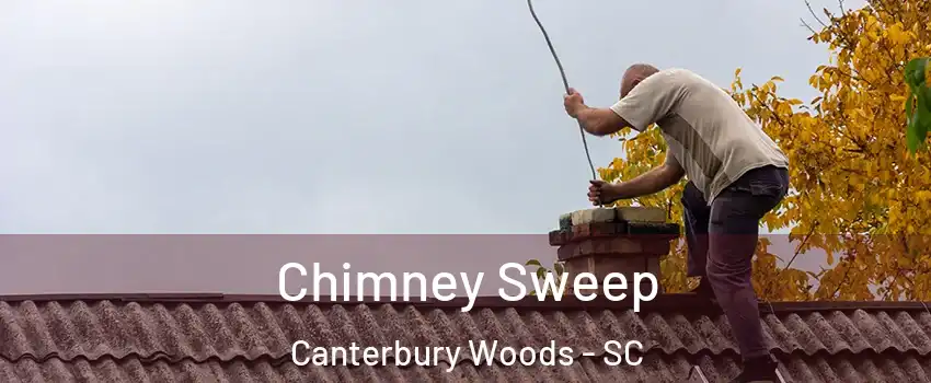 Chimney Sweep Canterbury Woods - SC