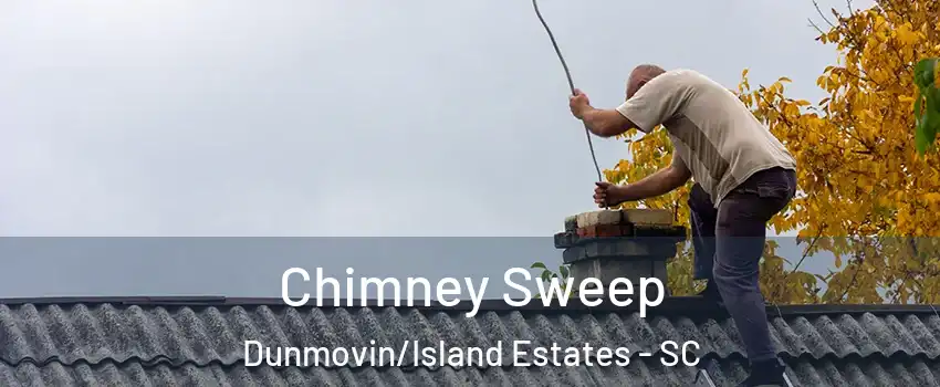 Chimney Sweep Dunmovin/Island Estates - SC