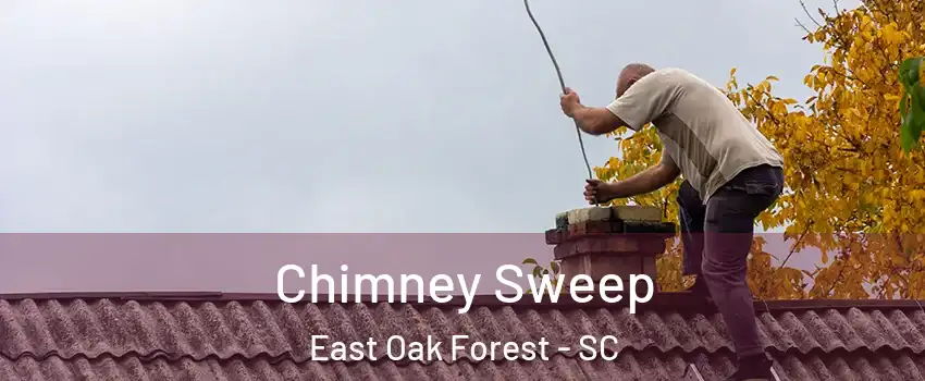 Chimney Sweep East Oak Forest - SC