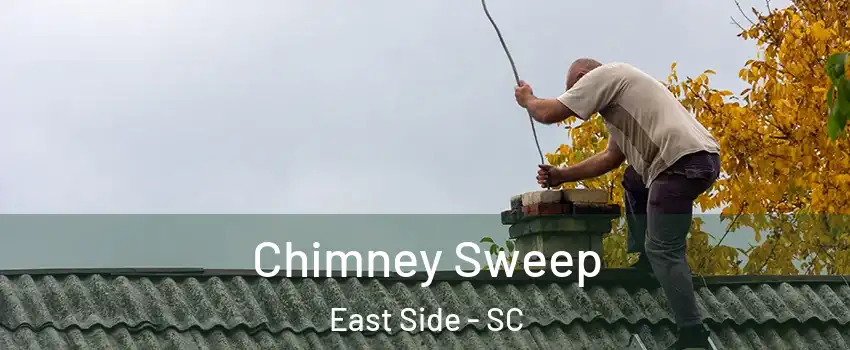 Chimney Sweep East Side - SC