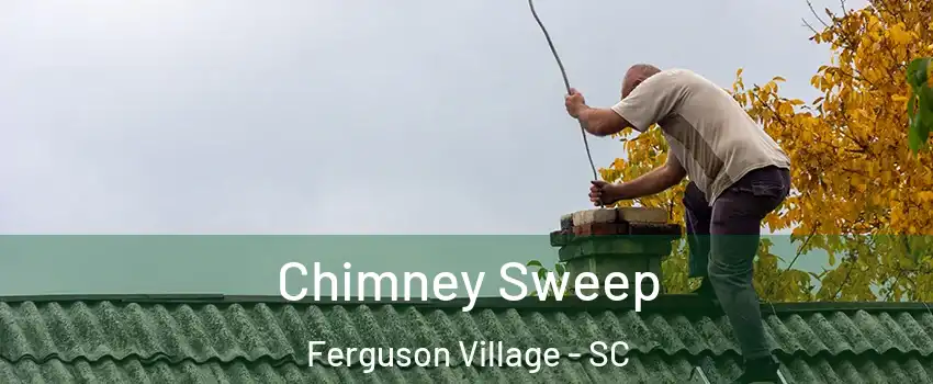 Chimney Sweep Ferguson Village - SC