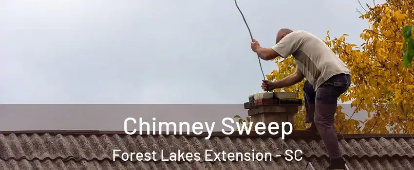 Chimney Sweep Forest Lakes Extension - SC