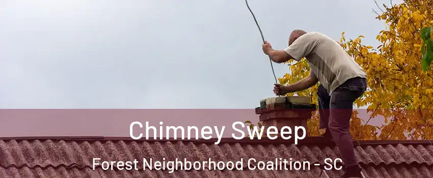 Chimney Sweep Forest Neighborhood Coalition - SC