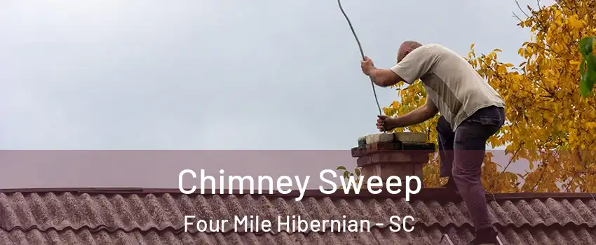 Chimney Sweep Four Mile Hibernian - SC