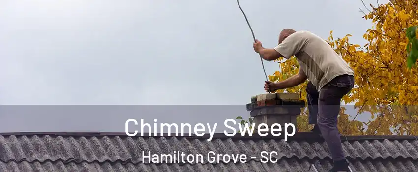 Chimney Sweep Hamilton Grove - SC