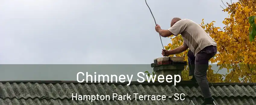 Chimney Sweep Hampton Park Terrace - SC