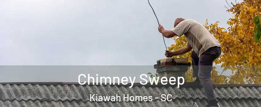 Chimney Sweep Kiawah Homes - SC