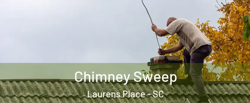 Chimney Sweep Laurens Place - SC