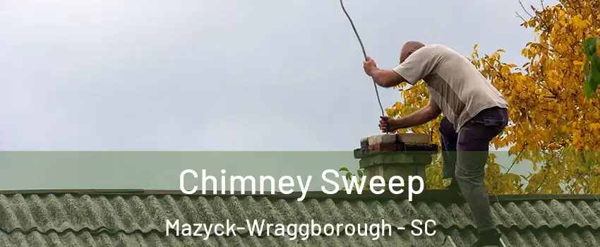 Chimney Sweep Mazyck-Wraggborough - SC