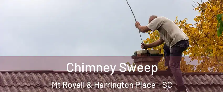 Chimney Sweep Mt Royall & Harrington Place - SC