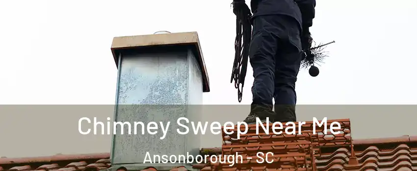 Chimney Sweep Near Me Ansonborough - SC