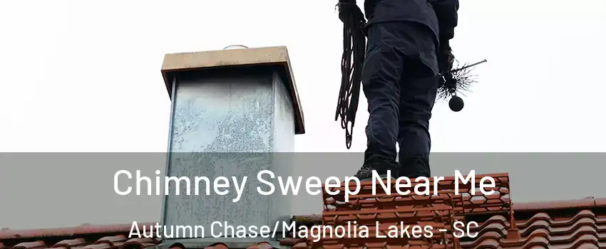 Chimney Sweep Near Me Autumn Chase/Magnolia Lakes - SC