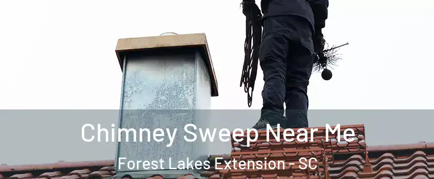 Chimney Sweep Near Me Forest Lakes Extension - SC