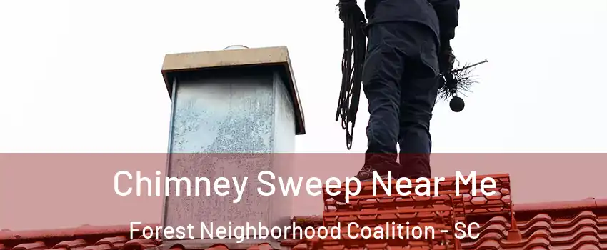 Chimney Sweep Near Me Forest Neighborhood Coalition - SC