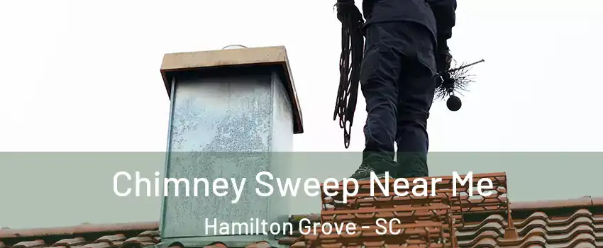 Chimney Sweep Near Me Hamilton Grove - SC