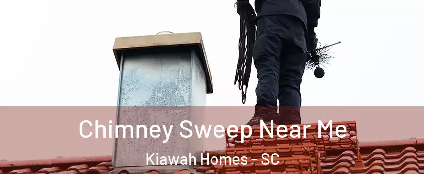 Chimney Sweep Near Me Kiawah Homes - SC