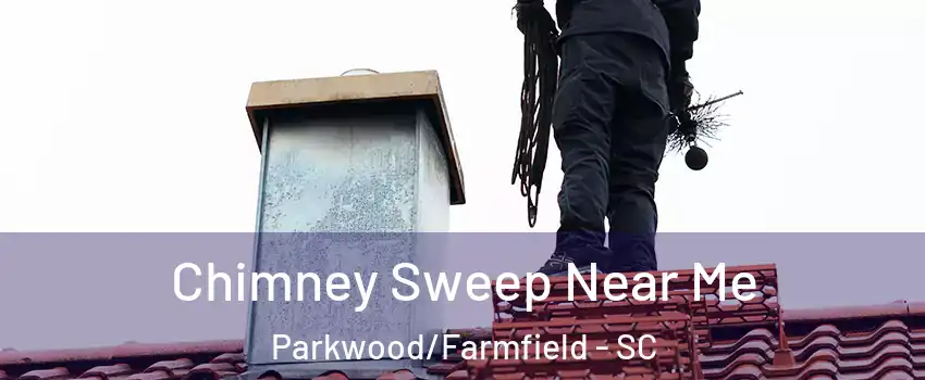 Chimney Sweep Near Me Parkwood/Farmfield - SC