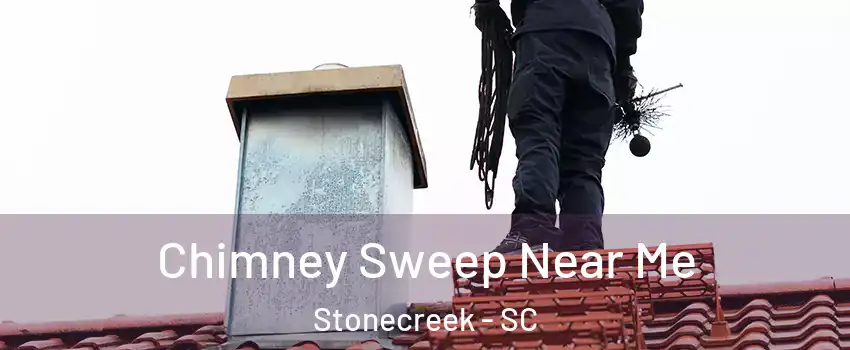 Chimney Sweep Near Me Stonecreek - SC