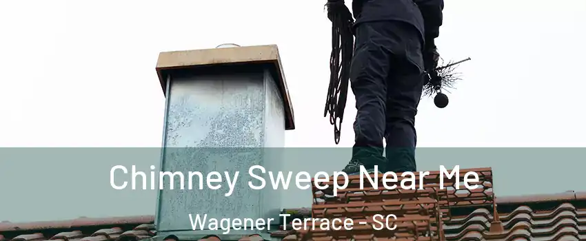 Chimney Sweep Near Me Wagener Terrace - SC