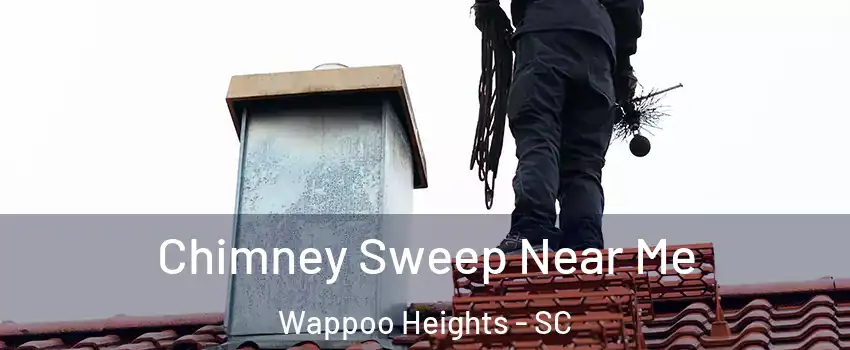 Chimney Sweep Near Me Wappoo Heights - SC