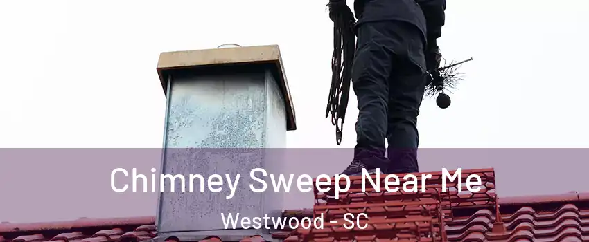 Chimney Sweep Near Me Westwood - SC