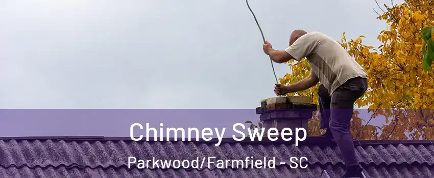 Chimney Sweep Parkwood/Farmfield - SC