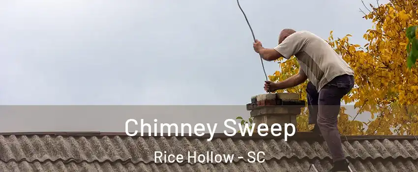 Chimney Sweep Rice Hollow - SC