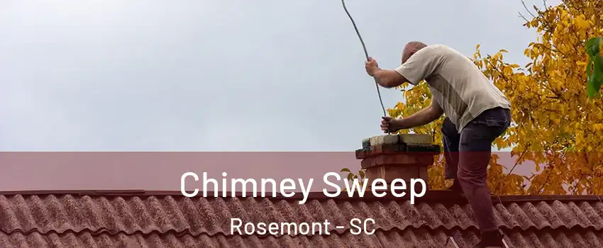 Chimney Sweep Rosemont - SC