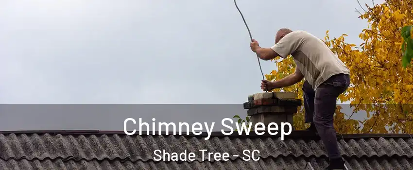 Chimney Sweep Shade Tree - SC