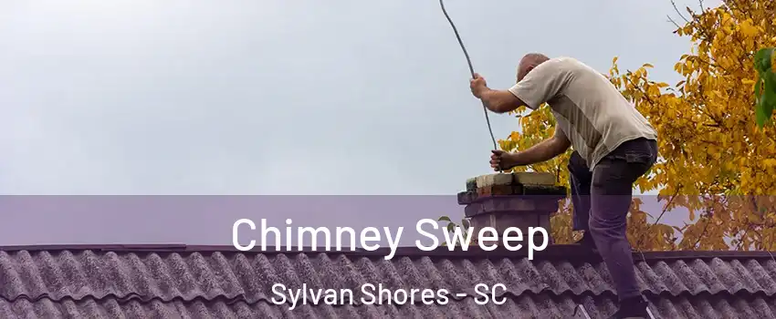 Chimney Sweep Sylvan Shores - SC